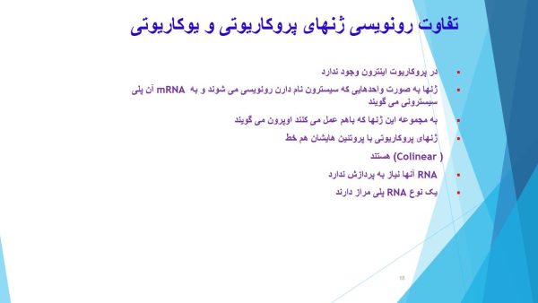 پاورپوینت RNA