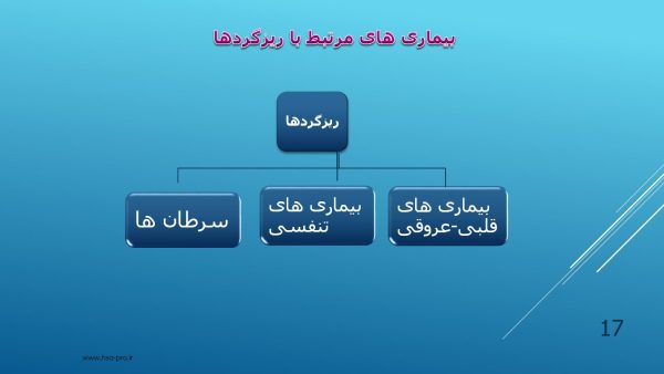 پاورپوینت پدیده ریز گرد ها