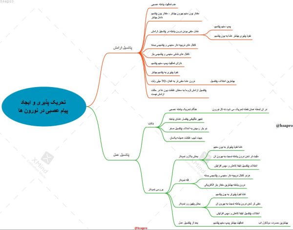 جمع بندی زیست کنکور به شکل نمودار درختی