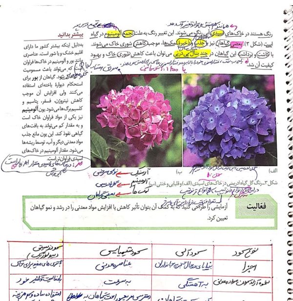 جزوات کامل زیست شناسی دهم